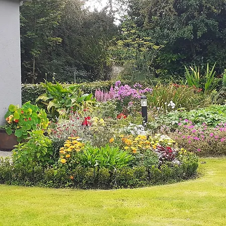 Conways كلاريموريس