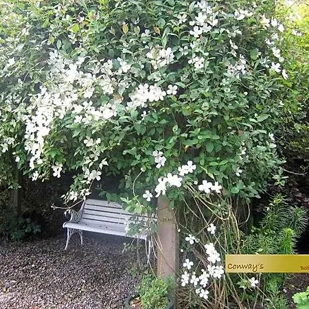 Conways Bed & Breakfast Claremorris