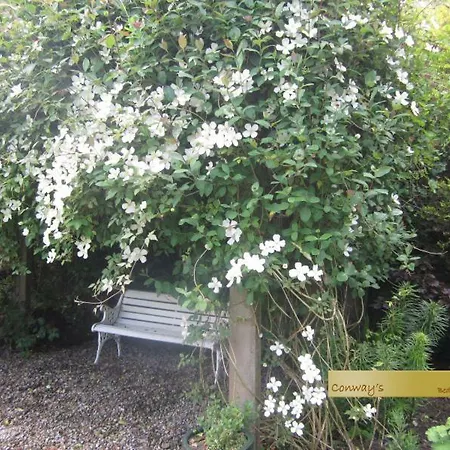 Conways فندق مبيت وإفطار