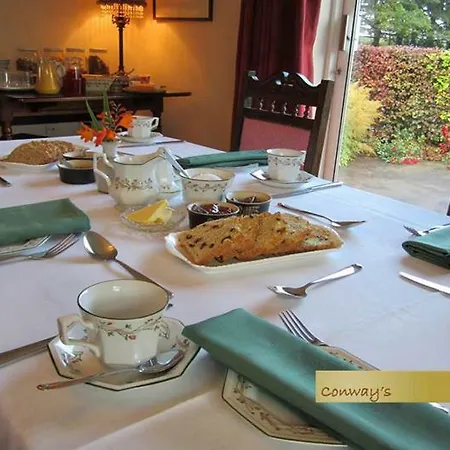 فندق مبيت وإفطار Conways 3*