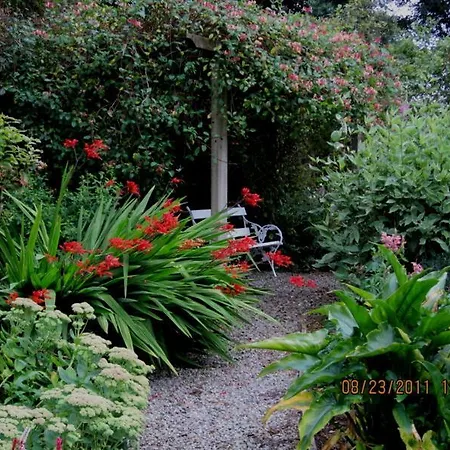 Conways فندق مبيت وإفطار كلاريموريس