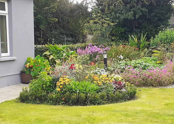 Conways Клэрморрис