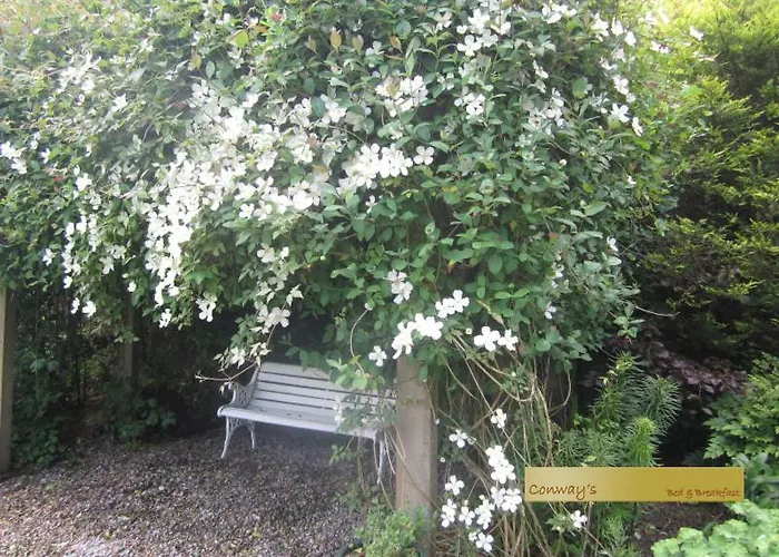 Conways Отель типа 