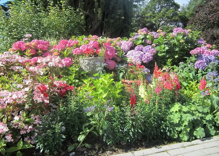 Conways Отель типа 