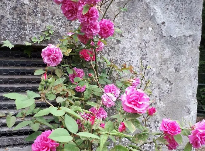 Nocleg ze śniadaniem Conways 3*